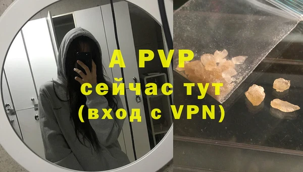 mdpv Богородицк